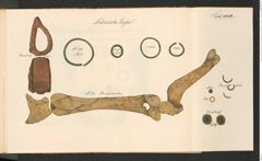 Seite 103 des Tafelbandes "Abbildungen über die aufgefundenen Altertums=Gegenstände […] zu Hallstatt […] 1846 bis einschlüßig 1849", Signatur 3.185 c